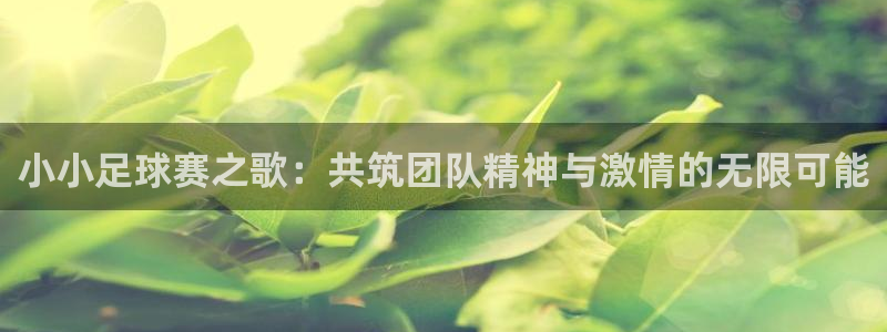 小小足球赛之歌：共筑团队精神与激情的无限可能
