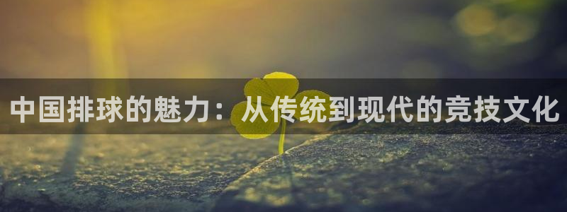 中国排球的魅力：从传统到现代的竞技文化