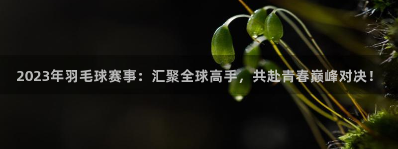 2023年羽毛球赛事：汇聚全球高手，共赴青春巅峰对决！