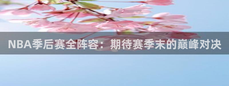 好博体育官网登录入口网页版：NBA季后赛全阵容：期待赛季末的
