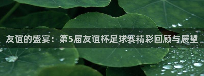 好博体育app登录入口在哪：友谊的盛宴：第5届友谊杯足球赛精