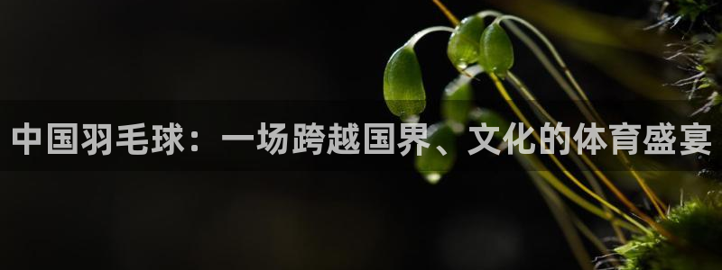 好博体育登录：中国羽毛球：一场跨越国界、文化的体育盛宴
