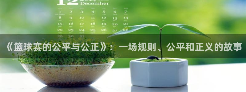 好博体育平台全新升级：《篮球赛的公平与公正》：一场规则、公平