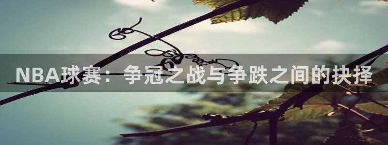 好博体育全站：NBA球赛：争冠之战与争跌之间的抉择